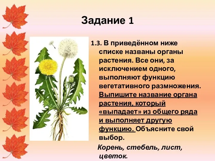 Задание 1 1.3. В приведённом ниже списке названы органы растения. Все