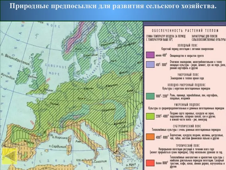 Обеспеченность растений теплом Природные предпосылки для развития сельского хозяйства.