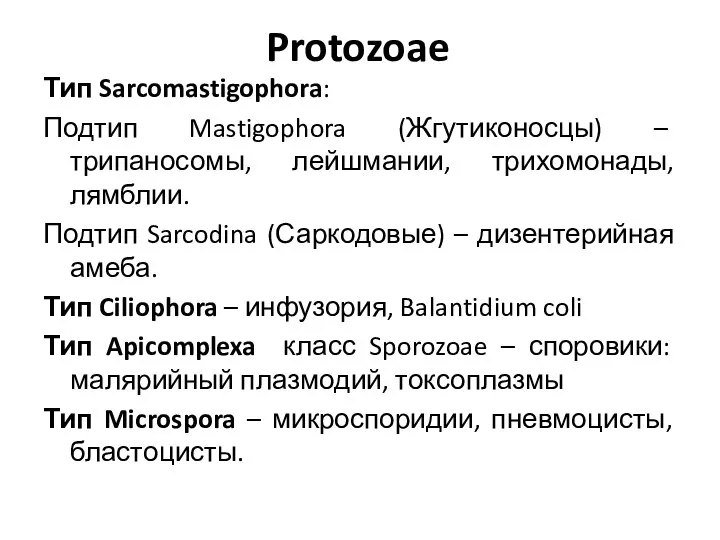 Protozoae Тип Sarcomastigophora: Подтип Mastigophora (Жгутиконосцы) – трипаносомы, лейшмании, трихомонады, лямблии.