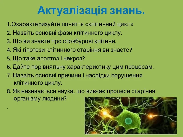 Актуалізація знань. 1.Охарактеризуйте поняття «клітинний цикл» 2. Назвіть основні фази клітинного