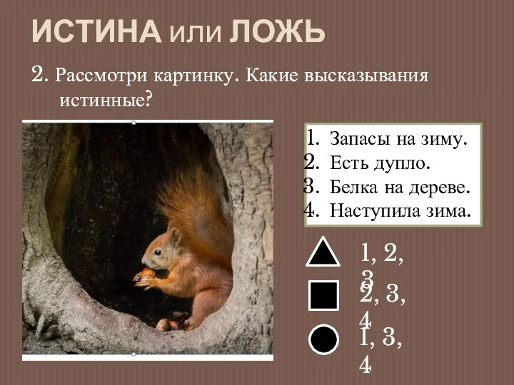 ИСТИНА или ЛОЖЬ 2. Рассмотри картинку. Какие высказывания истинные? Запасы на