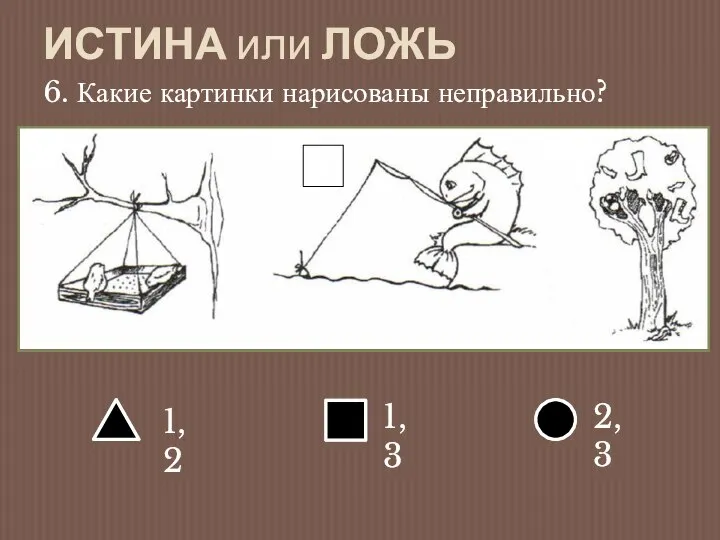 ИСТИНА или ЛОЖЬ 6. Какие картинки нарисованы неправильно?