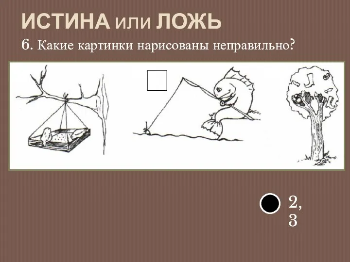 ИСТИНА или ЛОЖЬ 6. Какие картинки нарисованы неправильно?