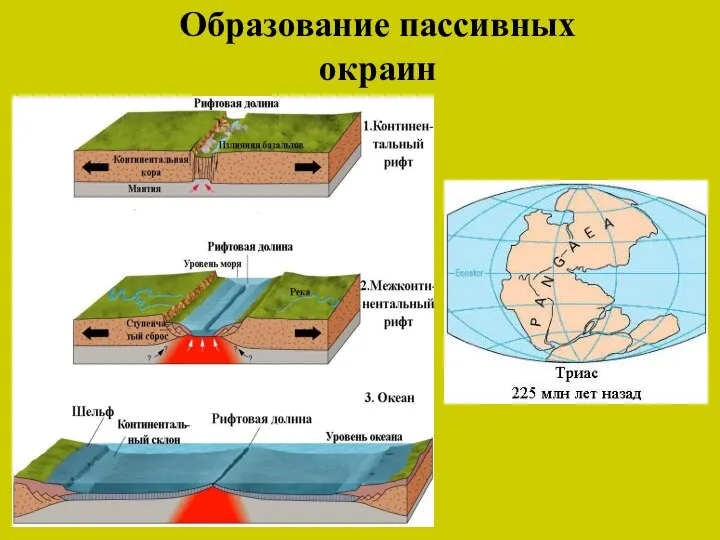 Образование пассивных окраин