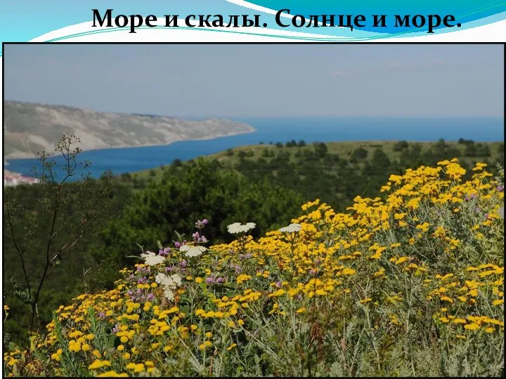 Море и скалы. Солнце и море.