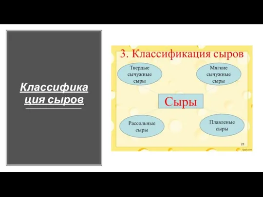 Классификация сыров