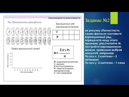 Задание №2 по рисунку «Пятнистость семян фасоли» составьте вариационный ряд, определите