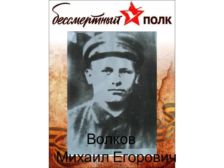 Волков Михаил Егорович