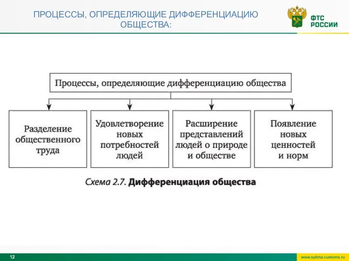 ПРОЦЕССЫ, ОПРЕДЕЛЯЮЩИЕ ДИФФЕРЕНЦИАЦИЮ ОБЩЕСТВА: