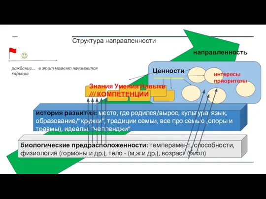 Ценности Структура направленности биологические предрасположенности: темперамент, способности, физиология (гормоны и др.),