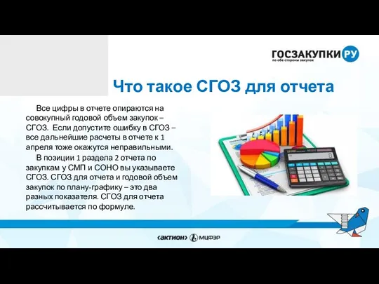 Что такое СГОЗ для отчета Все цифры в отчете опираются на