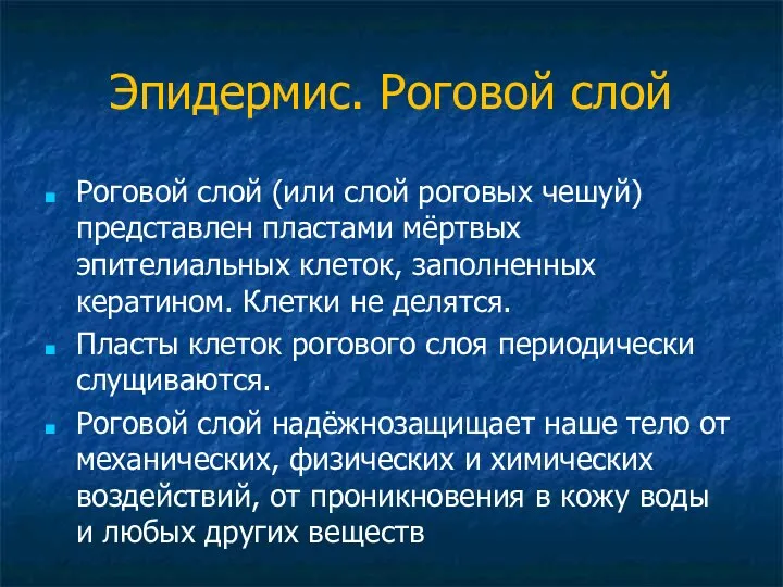 Эпидермис. Роговой слой Роговой слой (или слой роговых чешуй) представлен пластами