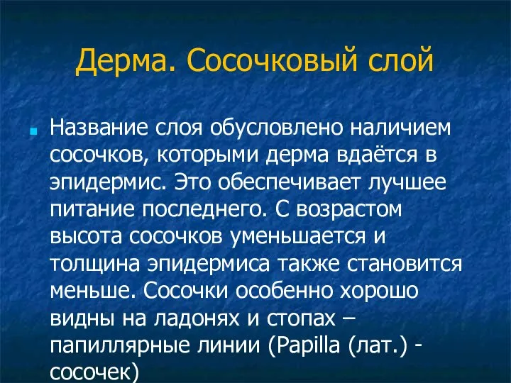 Дерма. Сосочковый слой Название слоя обусловлено наличием сосочков, которыми дерма вдаётся