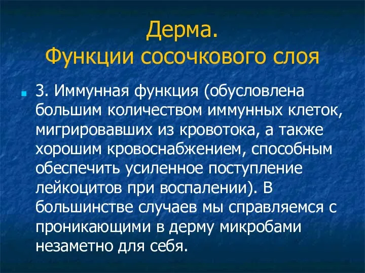 Дерма. Функции сосочкового слоя 3. Иммунная функция (обусловлена большим количеством иммунных