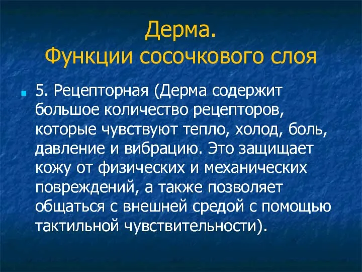 Дерма. Функции сосочкового слоя 5. Рецепторная (Дерма содержит большое количество рецепторов,