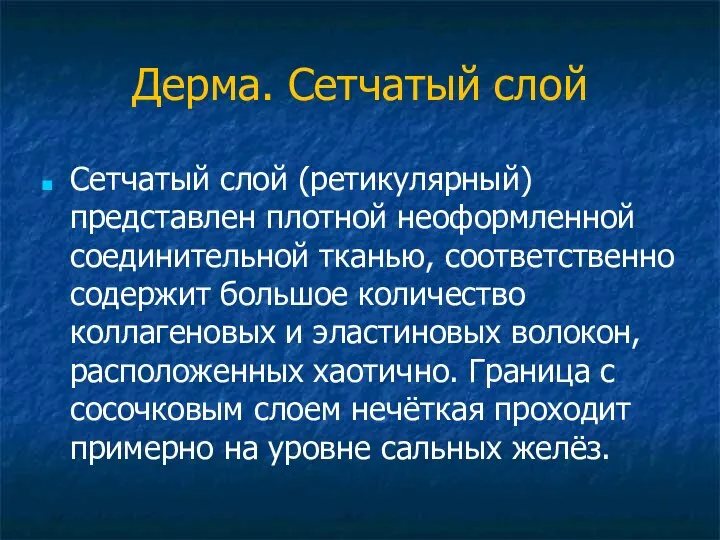 Дерма. Сетчатый слой Сетчатый слой (ретикулярный) представлен плотной неоформленной соединительной тканью,