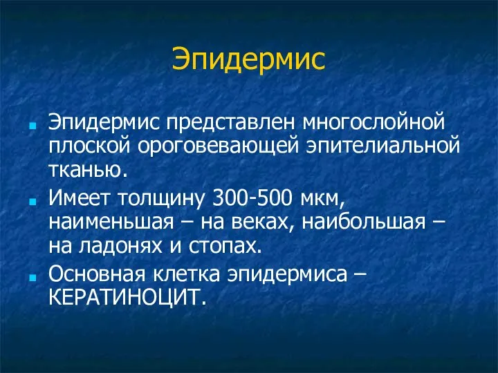 Эпидермис Эпидермис представлен многослойной плоской ороговевающей эпителиальной тканью. Имеет толщину 300-500