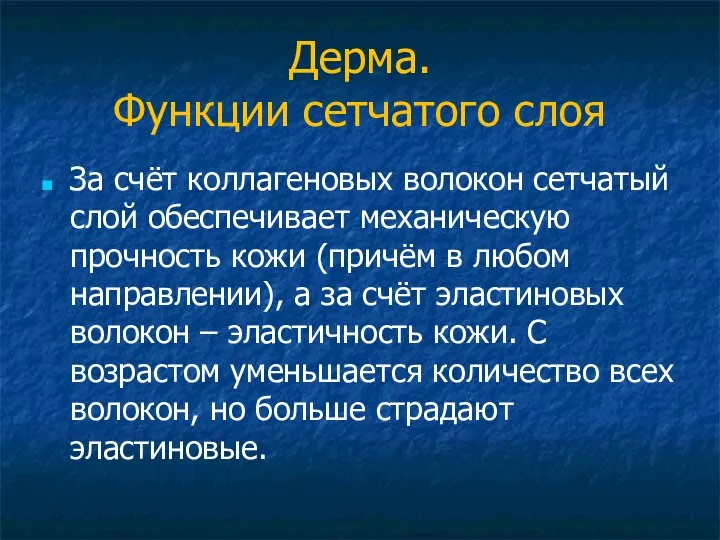 Дерма. Функции сетчатого слоя За счёт коллагеновых волокон сетчатый слой обеспечивает