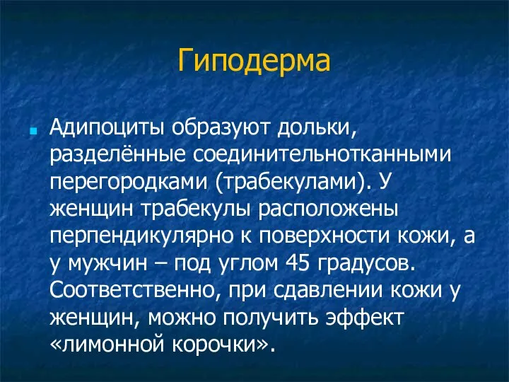 Гиподерма Адипоциты образуют дольки, разделённые соединительнотканными перегородками (трабекулами). У женщин трабекулы