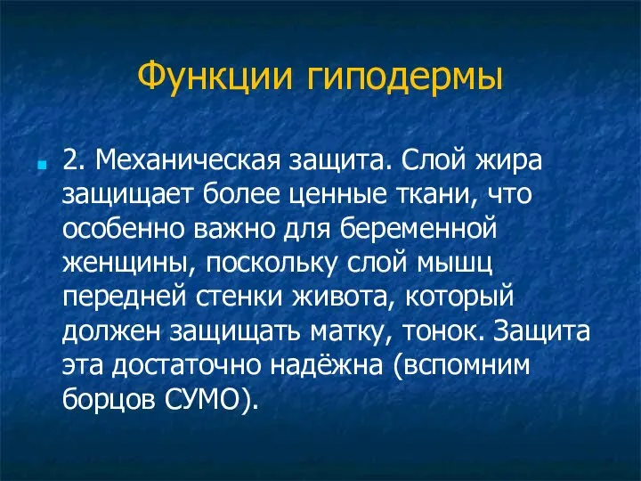 Функции гиподермы 2. Механическая защита. Слой жира защищает более ценные ткани,