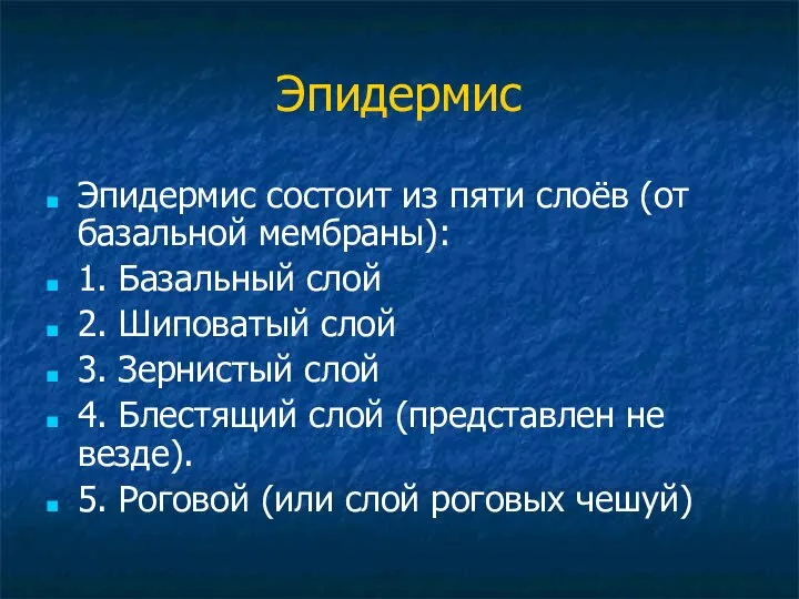 Эпидермис Эпидермис состоит из пяти слоёв (от базальной мембраны): 1. Базальный