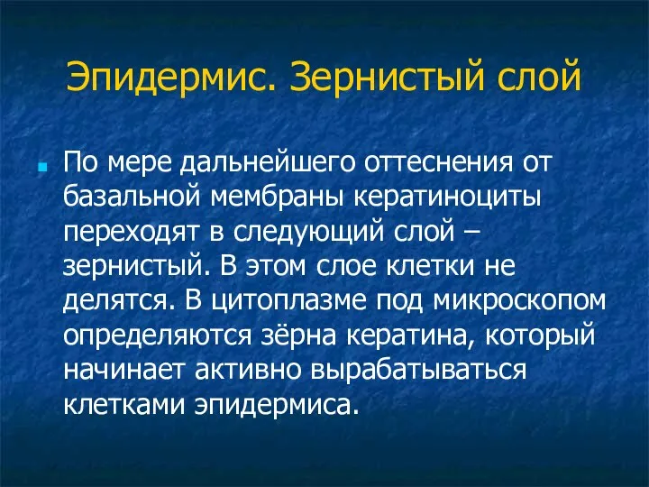 Эпидермис. Зернистый слой По мере дальнейшего оттеснения от базальной мембраны кератиноциты