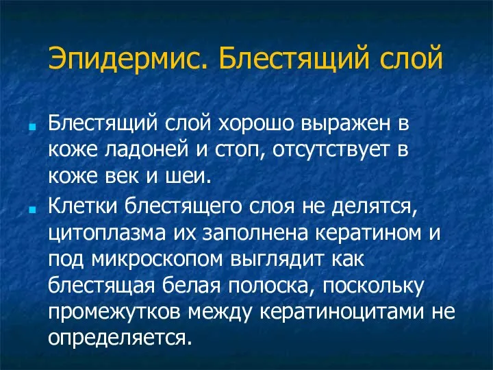 Эпидермис. Блестящий слой Блестящий слой хорошо выражен в коже ладоней и