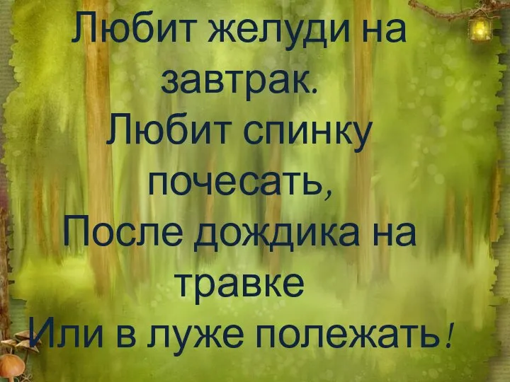 Любит желуди на завтрак. Любит спинку почесать, После дождика на травке Или в луже полежать!