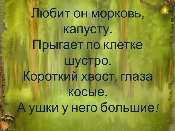 Любит он морковь, капусту. Прыгает по клетке шустро. Короткий хвост, глаза