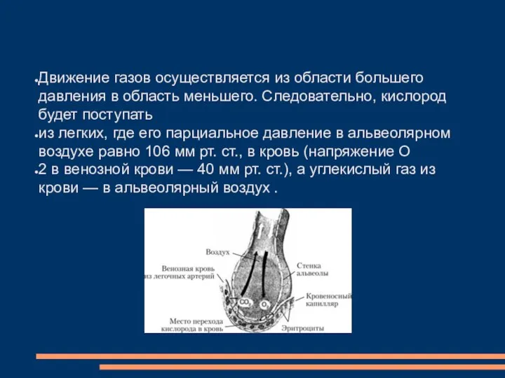 Движение газов осуществляется из области большего давления в область меньшего. Следовательно,