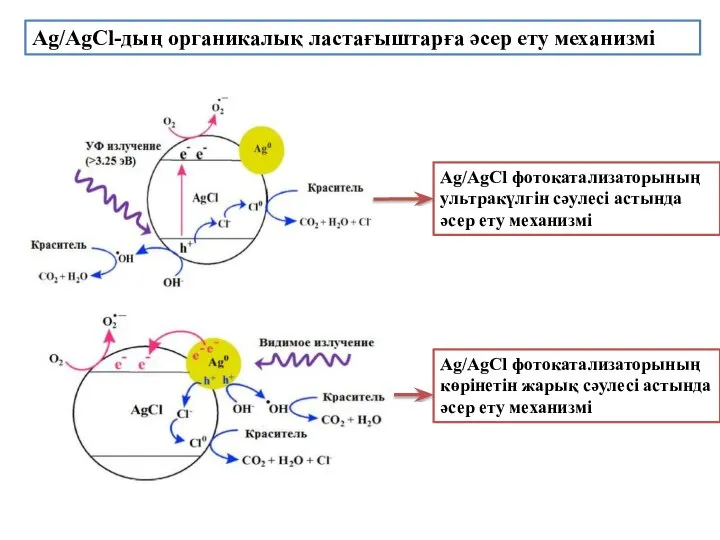 Ag/AgCl-дың органикалық ластағыштарға әсер ету механизмі Ag/AgCl фотокатализаторының ультракүлгін сәулесі астында