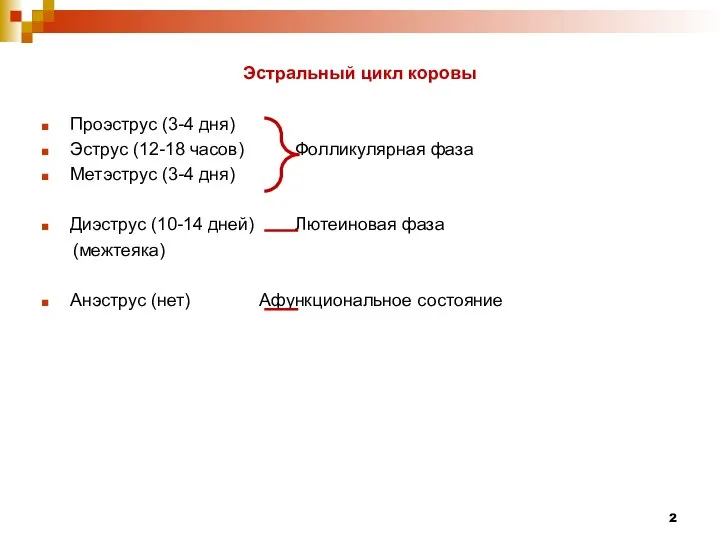 Эстральный цикл коровы Проэструс (3-4 дня) Эструс (12-18 часов) Фолликулярная фаза