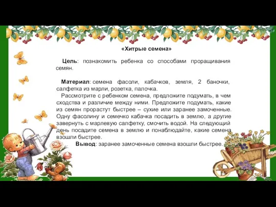 «Хитрые семена» Цель: познакомить ребенка со способами проращивания семян. Материал: семена