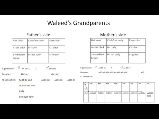 Waleed's Grandparents Father's side Mother's side