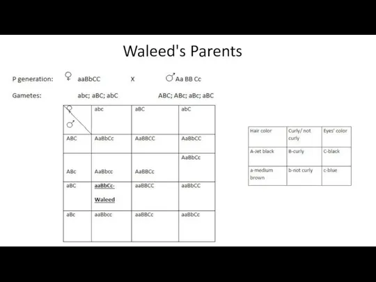 Waleed's Parents