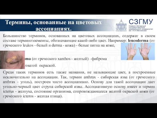 Термины, основанные на цветовых ассоциациях. Большинство терминов, основанных на цветовых ассоциациях,