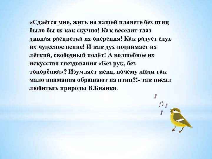 «Сдаётся мне, жить на нашей планете без птиц было бы ох