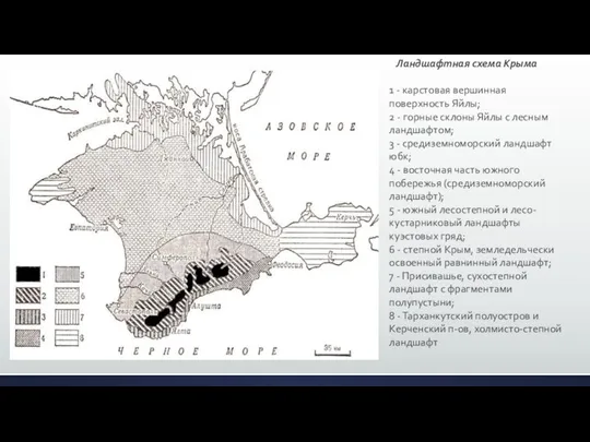 Ландшафтная схема Крыма 1 - карстовая вершинная поверхность Яйлы; 2 -