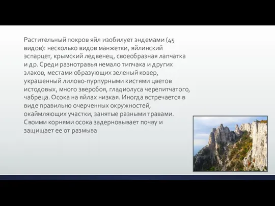 Растительный покров яйл изобилует эндемами (45 видов): несколько видов манжетки, яйлинский