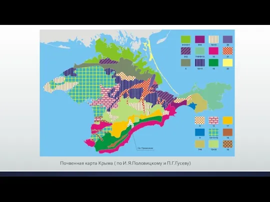 Почвенная карта Крыма ( по И.Я.Половицкому и П.Г.Гусеву)