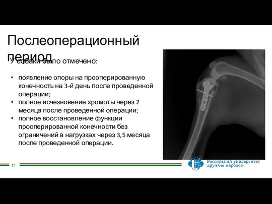 Послеоперационный период У собаки было отмечено: появление опоры на прооперированную конечность