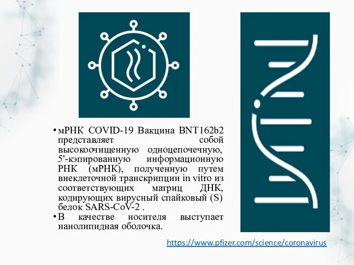 мРНК COVID-19 Вакцина BNT162b2 представляет собой высокоочищенную одноцепочечную, 5'-кэпированную информационную РНК