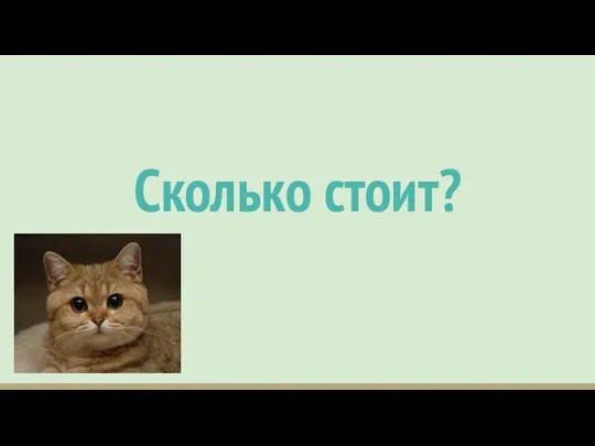 Сколько стоит?