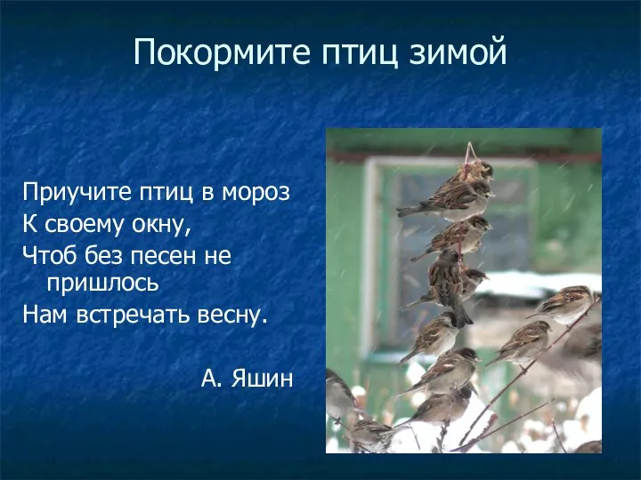 Покормите птиц зимой Приучите птиц в мороз К своему окну, Чтоб