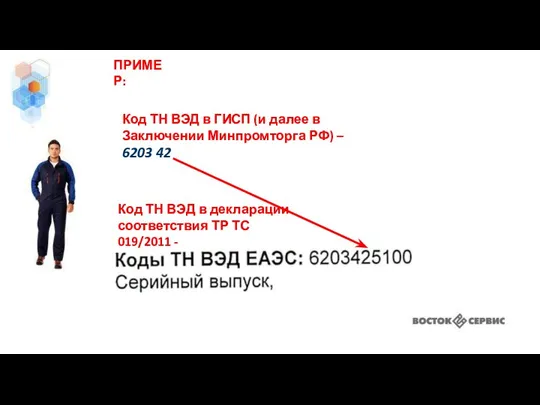 Код ТН ВЭД в ГИСП (и далее в Заключении Минпромторга РФ)