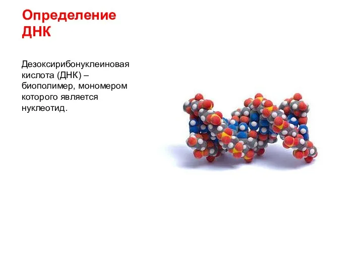 Определение ДНК Дезоксирибонуклеиновая кислота (ДНК) – биополимер, мономером которого является нуклеотид.