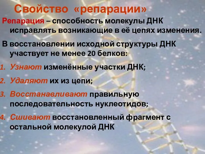 Свойство «репарации» Репарация – способность молекулы ДНК исправлять возникающие в её