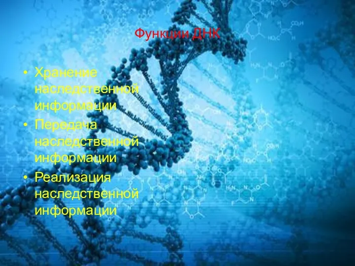 Функции ДНК Хранение наследственной информации Передача наследственной информации Реализация наследственной информации