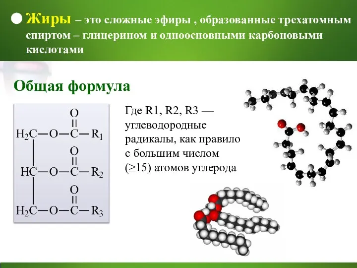 Жиры – это сложные эфиры , образованные трехатомным спиртом – глицерином