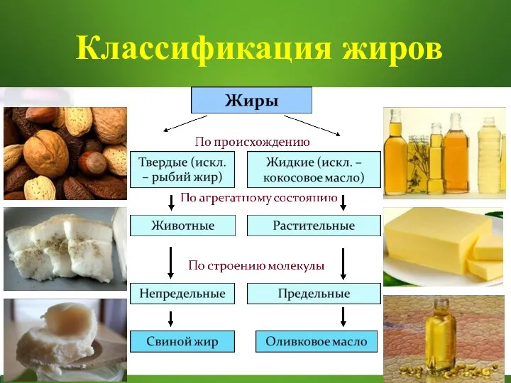 Классификация жиров